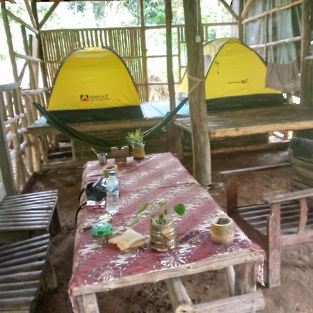 Landak River Guest House Only Trekking With Us Bukit Lawang Eksteriør billede
