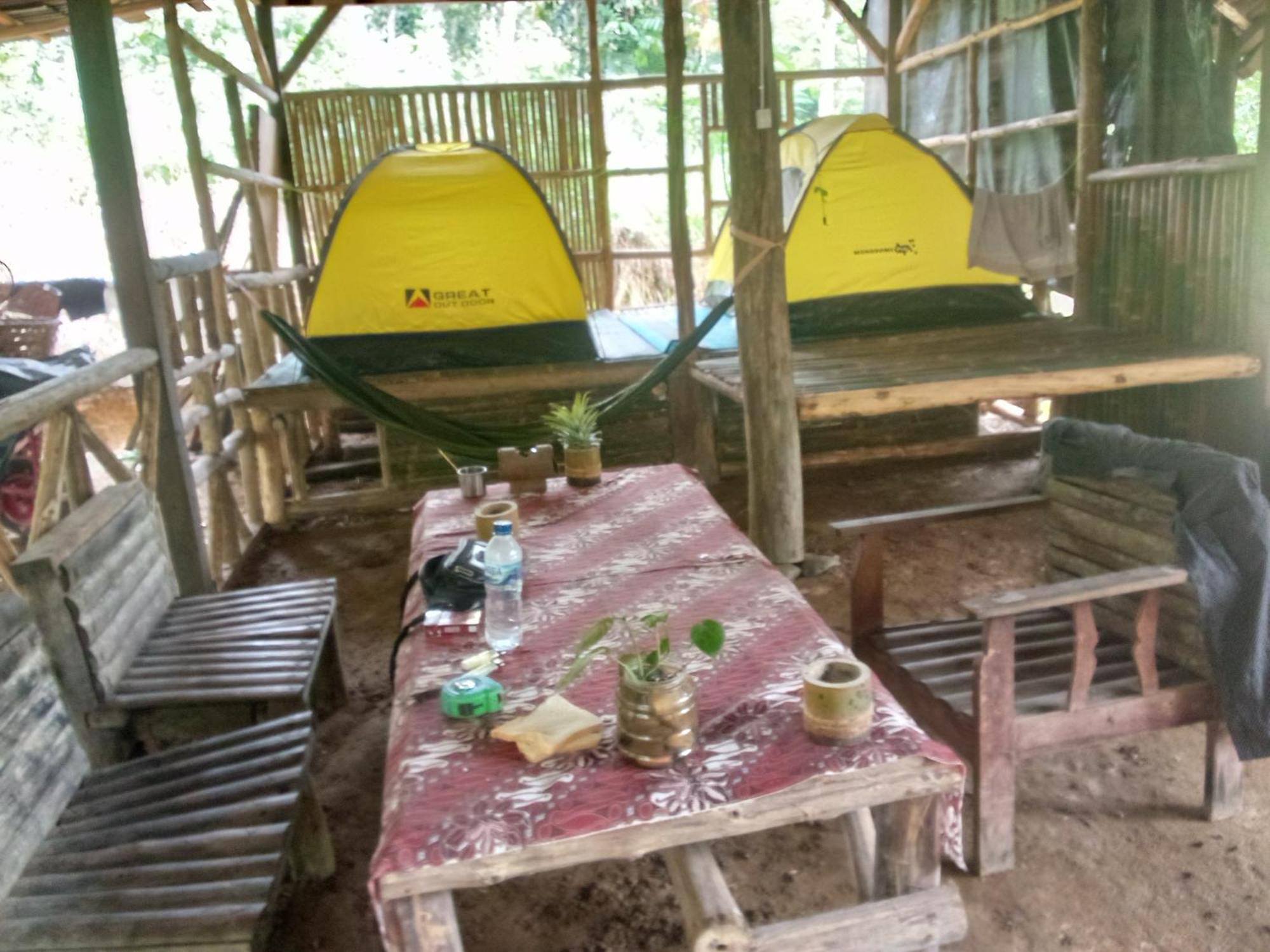 Landak River Guest House Only Trekking With Us Bukit Lawang Eksteriør billede