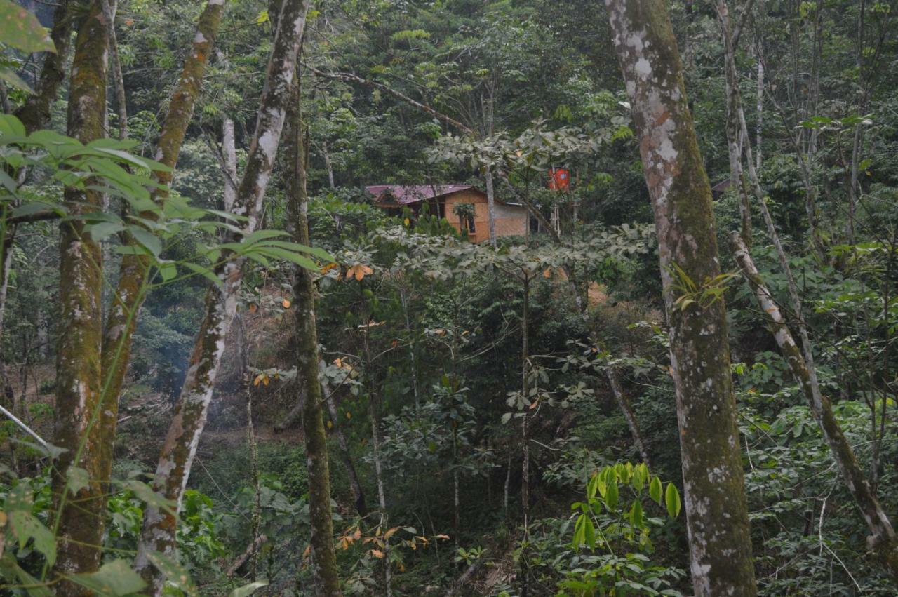 Landak River Guest House Only Trekking With Us Bukit Lawang Eksteriør billede