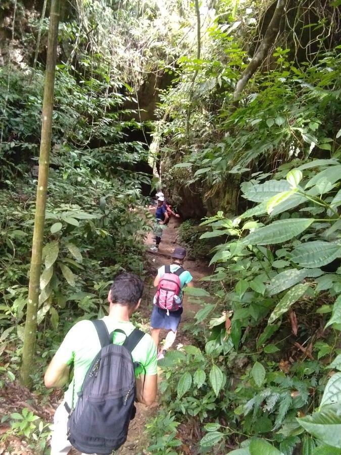 Landak River Guest House Only Trekking With Us Bukit Lawang Eksteriør billede