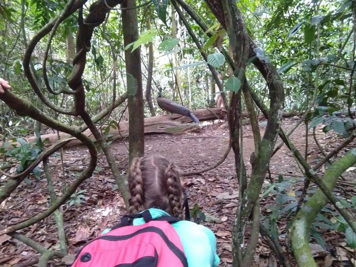 Landak River Guest House Only Trekking With Us Bukit Lawang Eksteriør billede