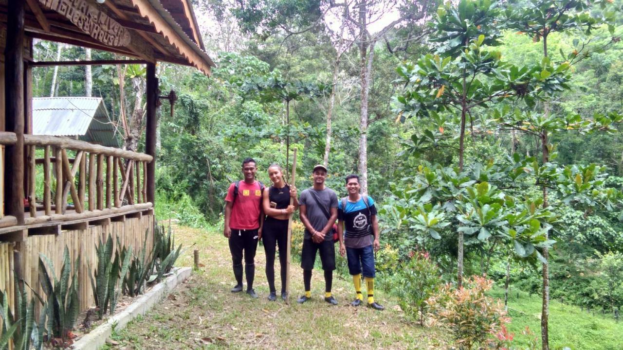 Landak River Guest House Only Trekking With Us Bukit Lawang Eksteriør billede