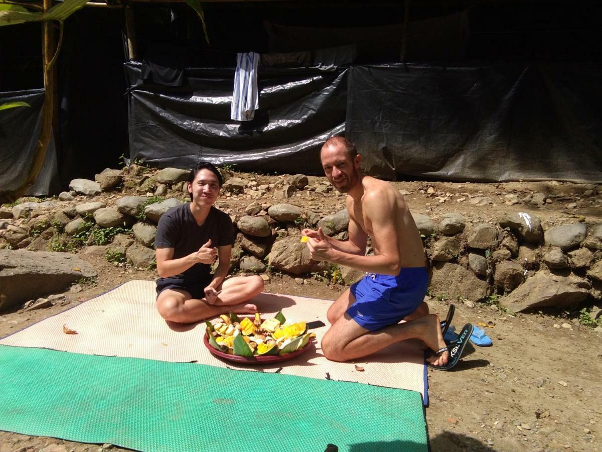 Landak River Guest House Only Trekking With Us Bukit Lawang Eksteriør billede