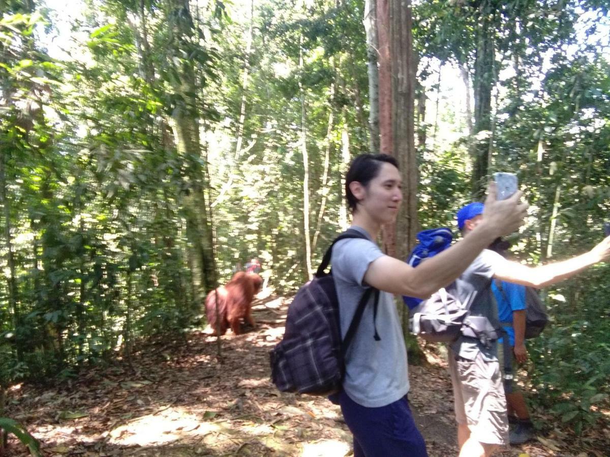 Landak River Guest House Only Trekking With Us Bukit Lawang Eksteriør billede
