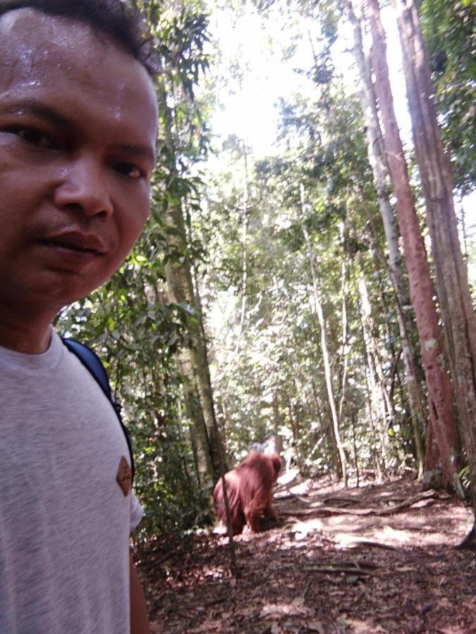 Landak River Guest House Only Trekking With Us Bukit Lawang Eksteriør billede